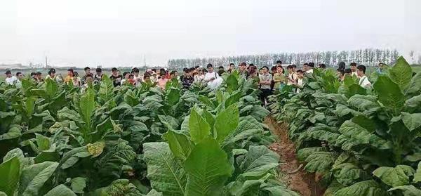 文章附图